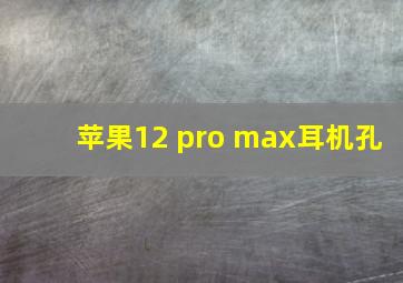 苹果12 pro max耳机孔